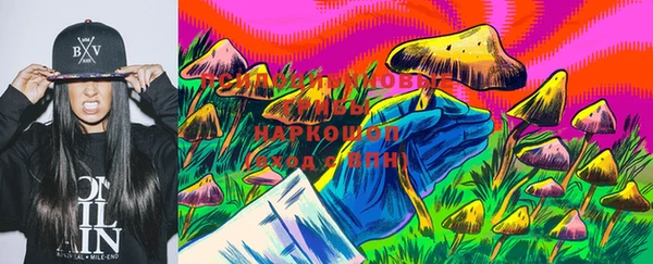 дживик Абинск