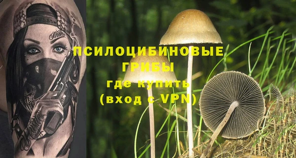 дживик Алзамай