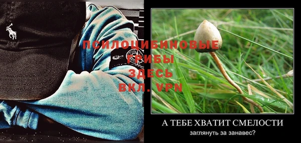 apvp Абдулино