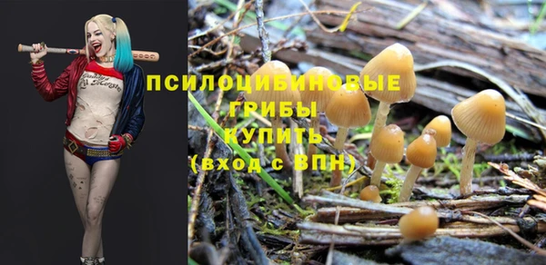 дживик Алзамай