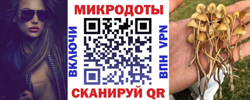 Псилоцибиновые грибы мицелий  купить наркотик  Камышлов 